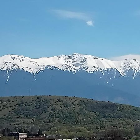 ZărneştiLe Nid D'Adam公寓 外观 照片