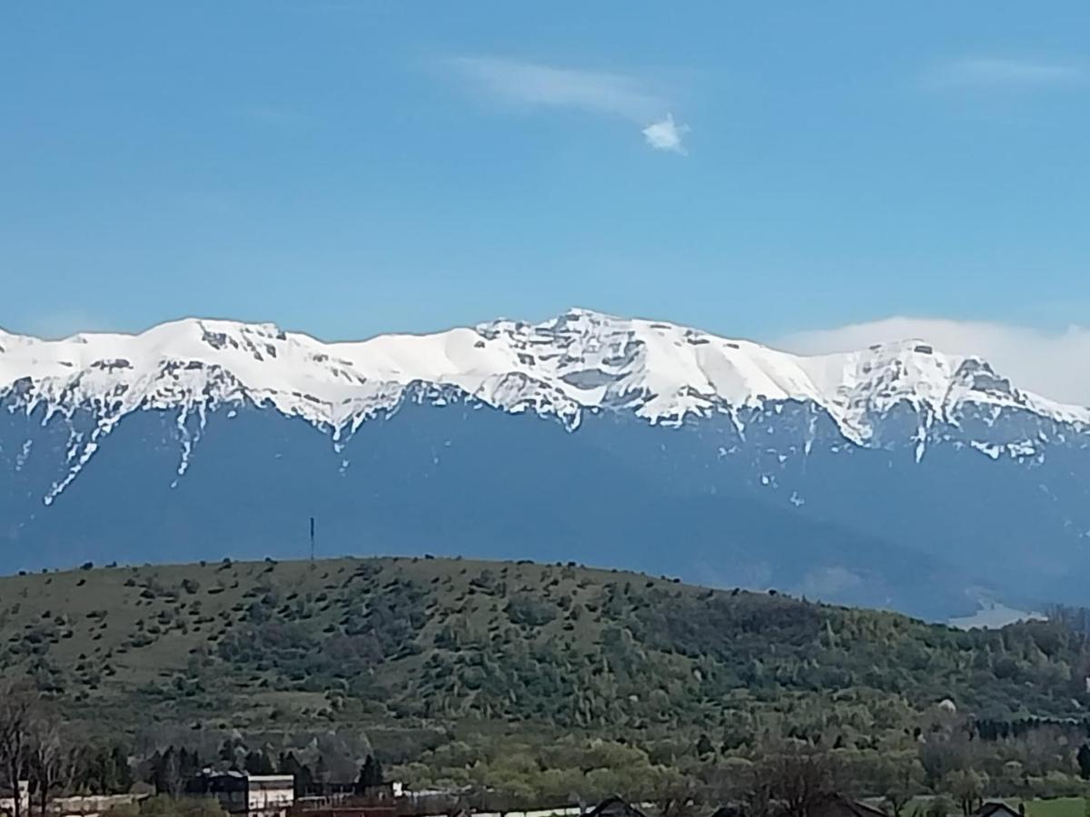 ZărneştiLe Nid D'Adam公寓 外观 照片